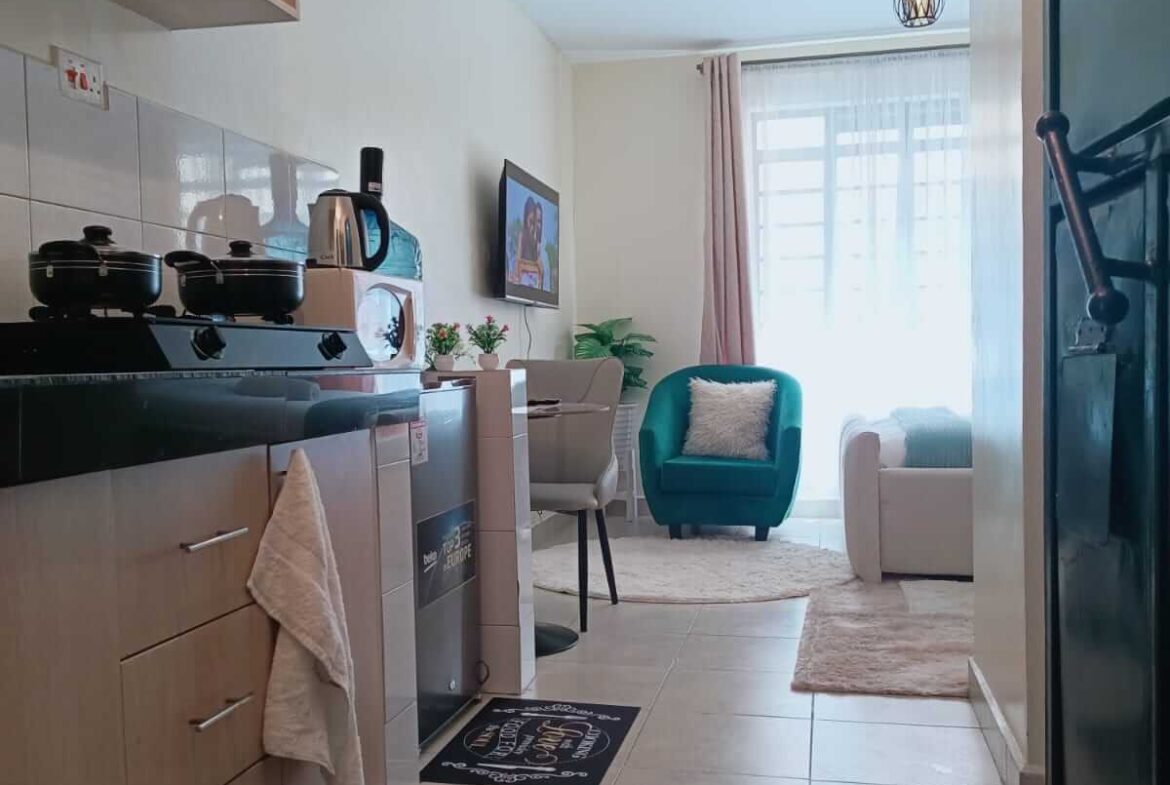 Studio Airbnb in Syokimau Near SGR along Beijin Road