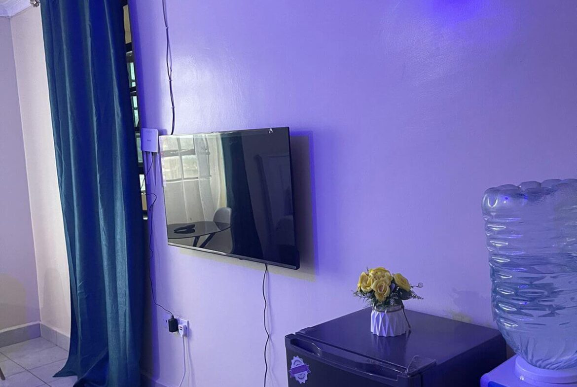 Thika Airbnb Bedsitter Studio