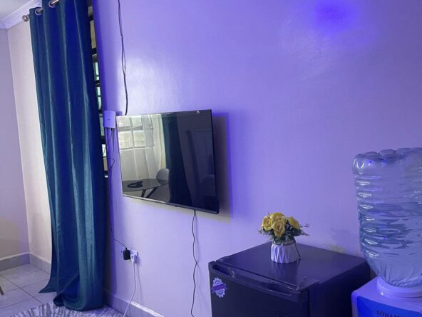 Thika Airbnb Bedsitter Studio