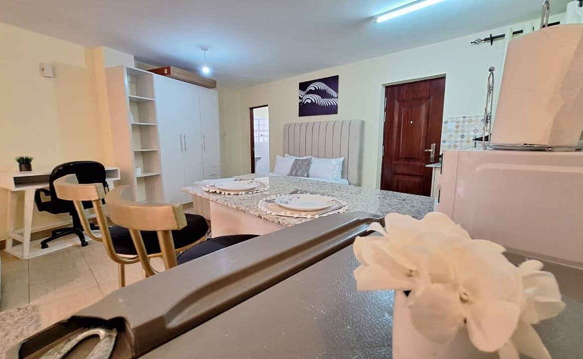 Spacious Ruaka Airbnb Studio