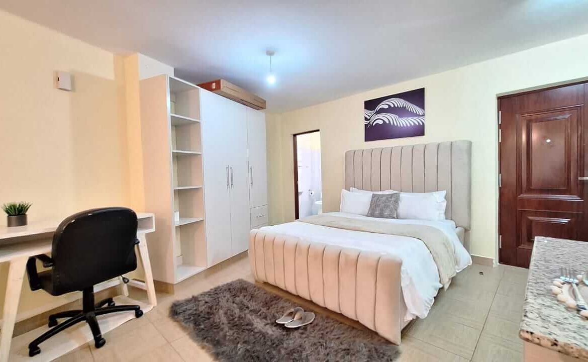 Spacious Ruaka Airbnb Studio